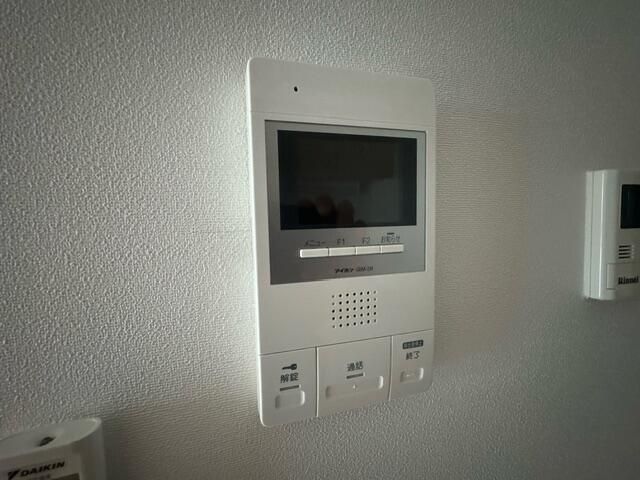 ��ʌ��z�J�s���C�N�^�E���U���ڂ̃}���V�����̂��̑�