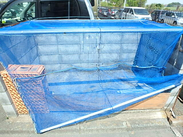 ��ʌ��������܎s��{����\���Q���ڂ̃A�p�[�g�̂��̑�