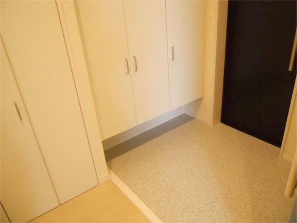 ��ʌ��z�J�s���C�N�^�E���U���ڂ̃}���V�����̌���