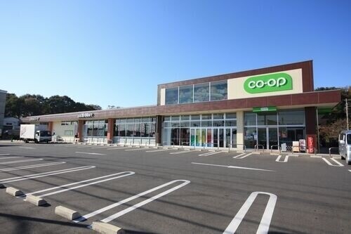 ��ʌ��������܎s������厚�쒆�ۂ̃}���V�����̎���