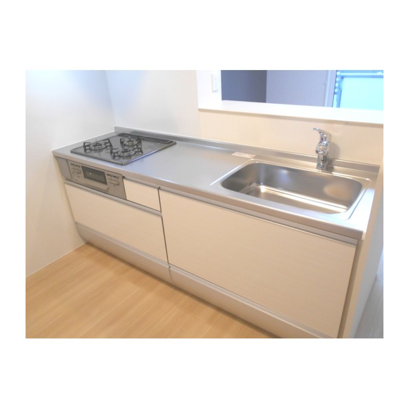 ��ʌ��z�J�s���C�N�^�E���X���ڂ̃A�p�[�g�̃L�b�`��