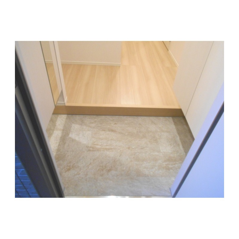 ��ʌ��z�J�s���C�N�^�E���X���ڂ̃A�p�[�g�̌���