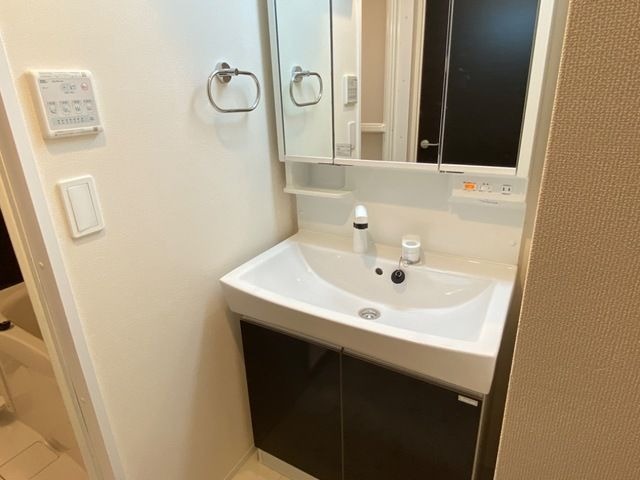 ��ʌ�����s�씵���J�T���ڂ̃}���V�����̐��ʏ�