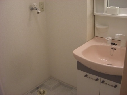 ��ʌ��������܎s���撬�J�R���ڂ̃A�p�[�g�̐��ʏ�