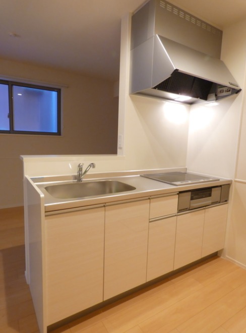 ��ʌ�����s�씵���J�S���ڂ̃}���V�����̃L�b�`��