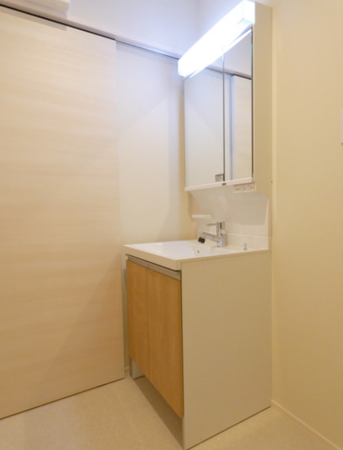 ��ʌ�����s�씵���J�S���ڂ̃}���V�����̐��ʏ�