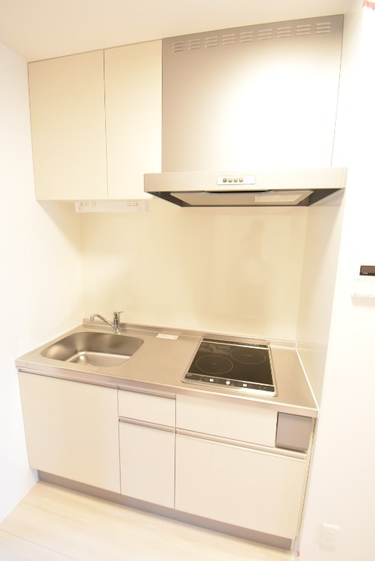 ��ʌ��������܎s�k����i���Q���ڂ̃A�p�[�g�̃L�b�`��