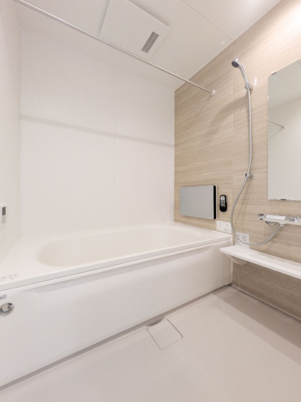 ��ʌ��z�J�s�o�˒��̃A�p�[�g�̃o�X