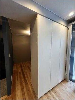 ��ʌ��������܎s��{��g�~���R���ڂ̃}���V�����̎��[