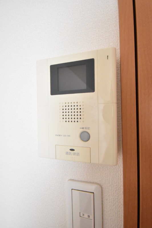 ��ʌ�����s������S���ڂ̃}���V�����̂��̑�