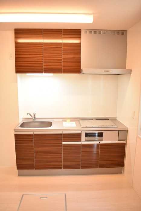 ��ʌ��@�c�s�n���S���ڂ̃A�p�[�g�̃L�b�`��