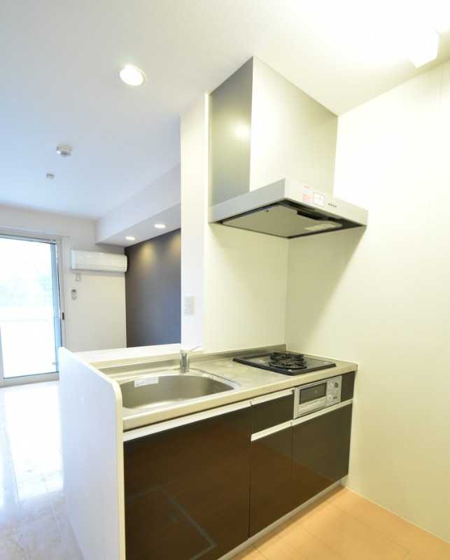 ��ʌ��������܎s���搼��{�P���ڂ̃A�p�[�g�̃L�b�`��