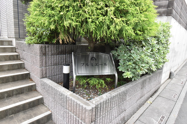 ��ʌ�����s�厚������̃}���V�����̎���