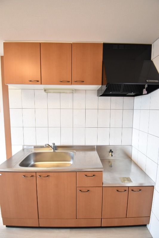 ��ʌ�����s�厚������̃}���V�����̃L�b�`��