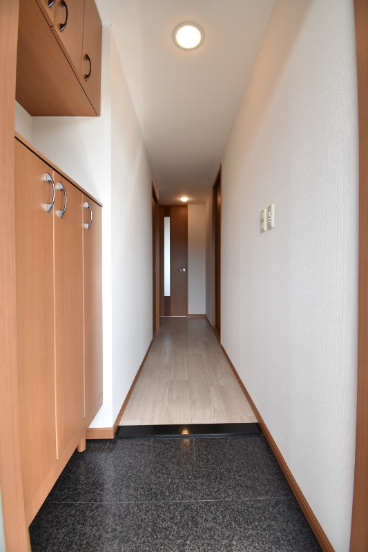 ��ʌ�����s�厚������̃}���V�����̌���