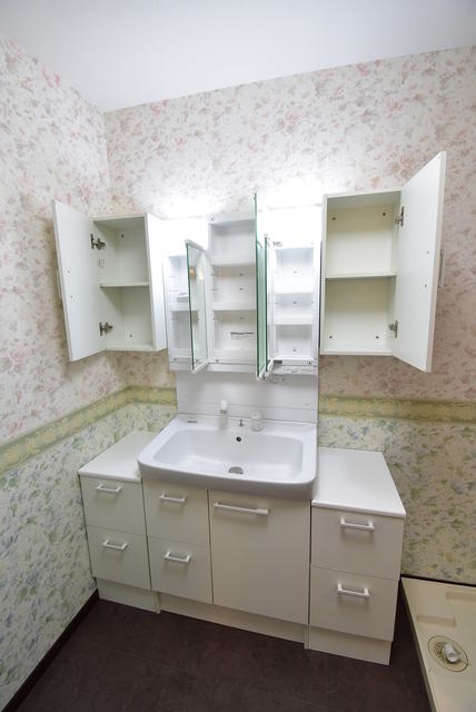 ��ʌ��������܎s����厚�_�c�̃A�p�[�g�̐��ʏ�