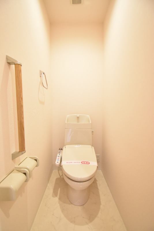 ��ʌ��������܎s�΋�厚���̃}���V�����̃g�C��