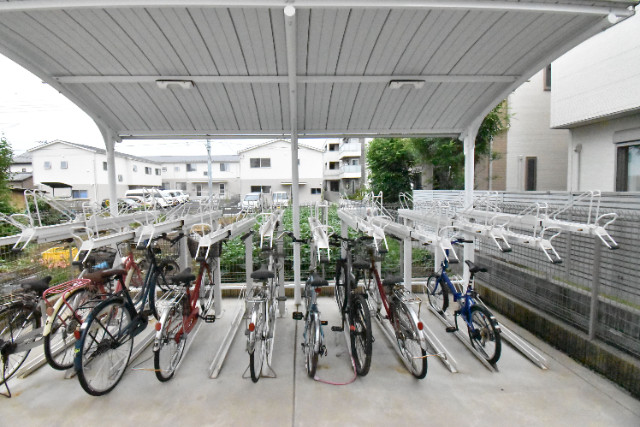 ��ʌ��������܎s�΋�厚���̃}���V�����̂��̑�