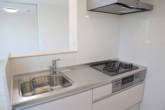 ��ʌ�����s�厚���̃A�p�[�g�̃L�b�`��