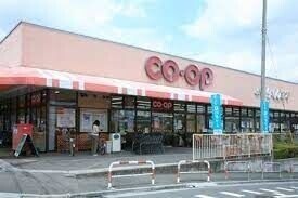 ��ʌ��������܎s�Y�a��j���J�R���ڂ̃}���V�����̎���