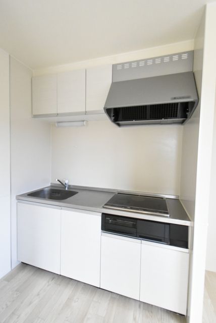 ��ʌ��������܎s������厚�������̃}���V�����̃L�b�`��