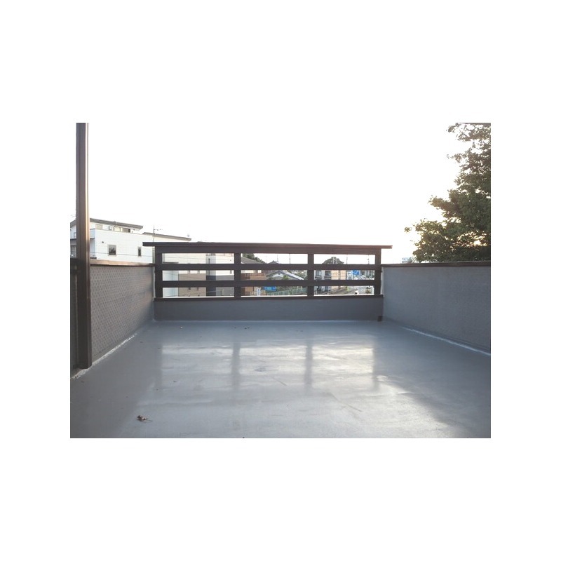 ��ʌ��������܎s�΋�厚���̃A�p�[�g�̃o���R�j�[