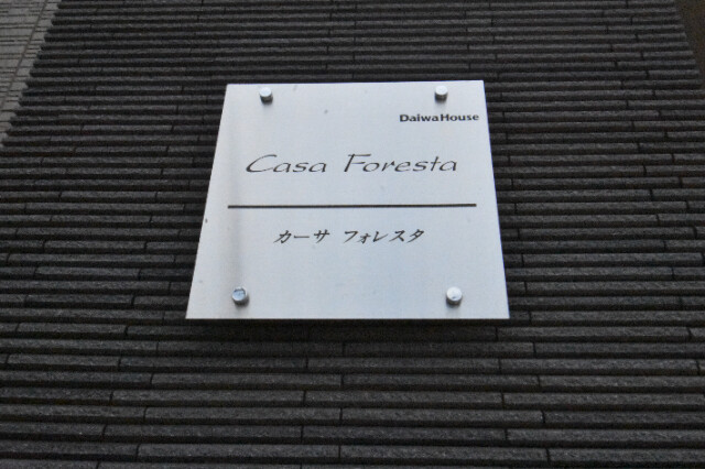 ��ʌ��������܎s�k��y�C���Q���ڂ̃A�p�[�g�̎���