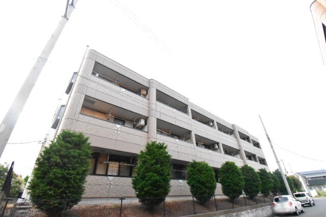 ��ʌ�����s�厚�����q��V�c93-1�̃}���V�����̌����O��