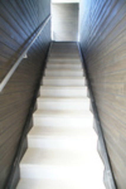 ��ʌ�����s�����S���ڂ̃}���V�����̃G���g�����X