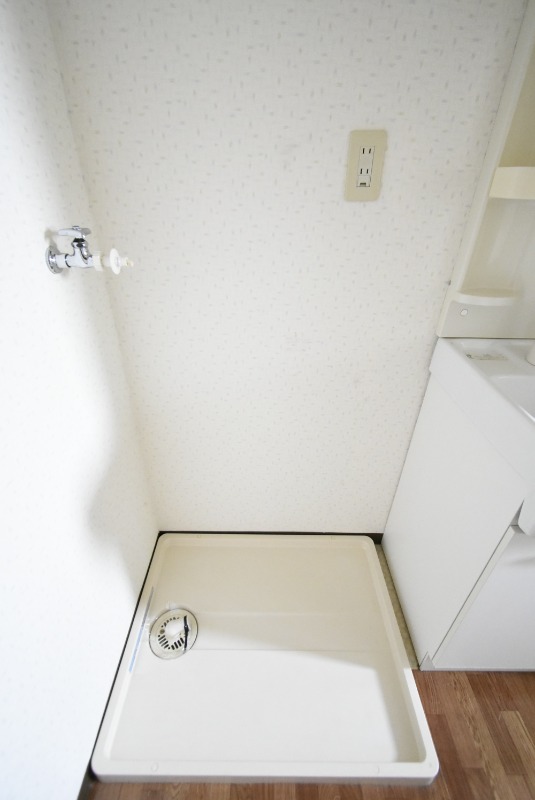 ��ʌ��k�����S�ɓޒ��w���P���ڂ̃}���V�����̂��̑�