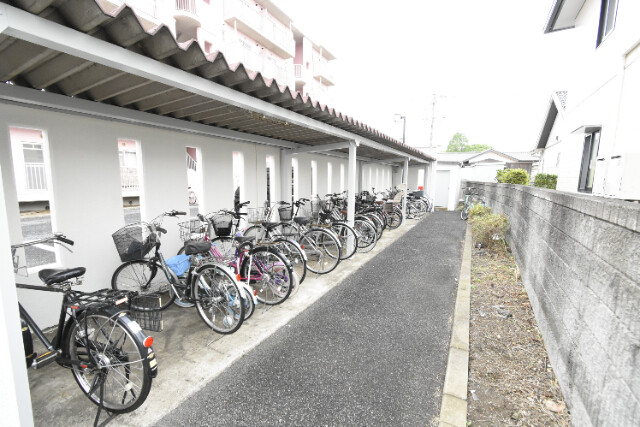 ��ʌ��k�����S�ɓޒ��w���P���ڂ̃}���V�����̂��̑�