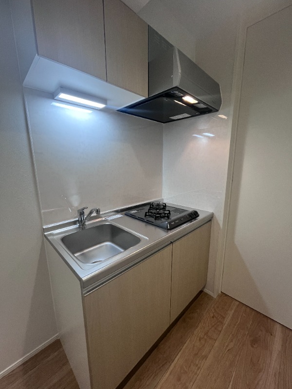 ��ʌ��������܎s�������a�c���Q���ڂ̃A�p�[�g�̃L�b�`��