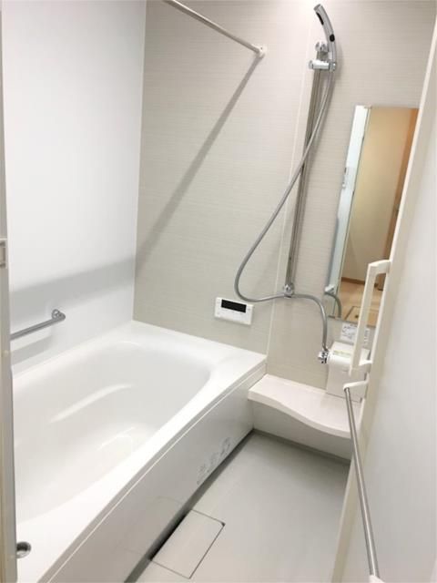 ��ʌ��������܎s�����攪���q�S���ڂ̈�ˌ��Ẵo�X