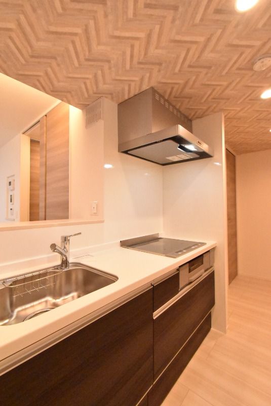 ��ʌ��������܎s�΋挴�R�R���ڂ̃A�p�[�g�̃L�b�`��