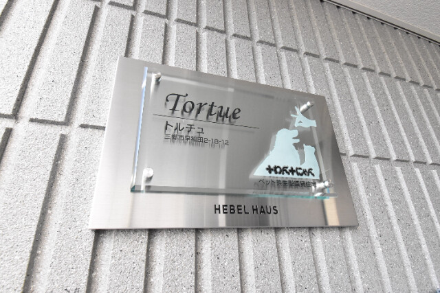 ��ʌ��O���s����c�Q���ڂ̃}���V�����̎���