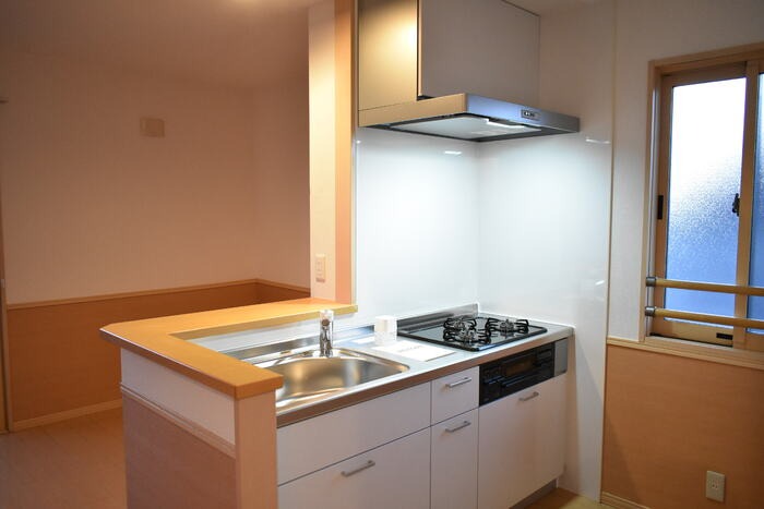 ��ʌ��������܎s����O���U���ڂ̃A�p�[�g�̃L�b�`��