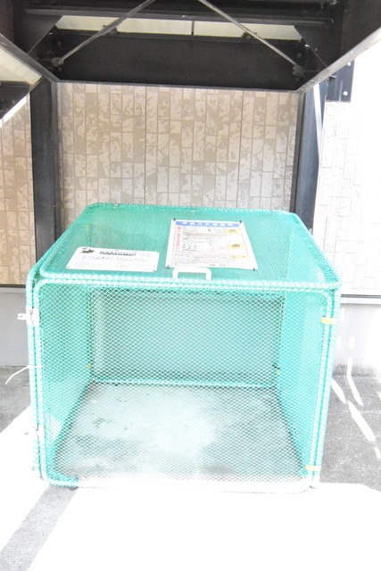 ��ʌ��������܎s������㗎���T���ڂ̃A�p�[�g�̂��̑�