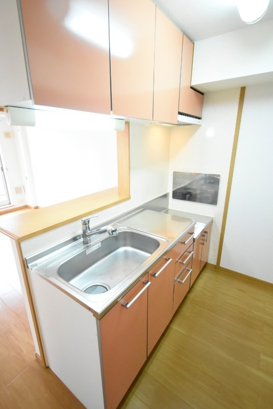 ��ʌ��k�����S�ɓޒ����h��S���ڂ̃A�p�[�g�̃L�b�`��