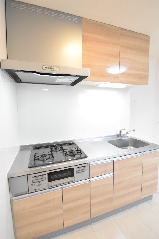 ��ʌ�����s�厚���s�k�J�̃A�p�[�g�̃L�b�`��