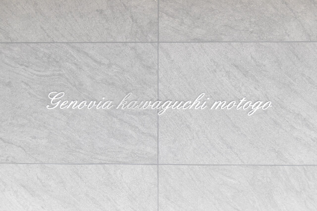 ��ʌ�����s�����Q���ڂ̃}���V�����̎���