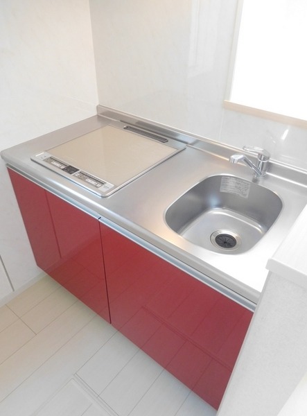 ��ʌ��������܎s�΋�厚�����̃e���X�n�E�X�̃L�b�`��