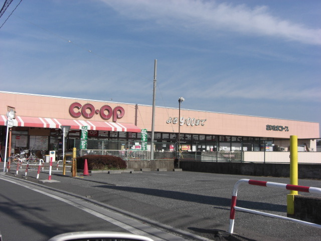 ��ʌ��������܎s�Y�a���؍�T���ڂ̃e���X�n�E�X�̎���