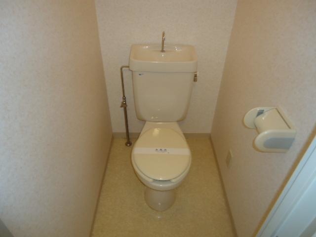 ��ʌ�����s�厚�����̃}���V�����̃g�C��