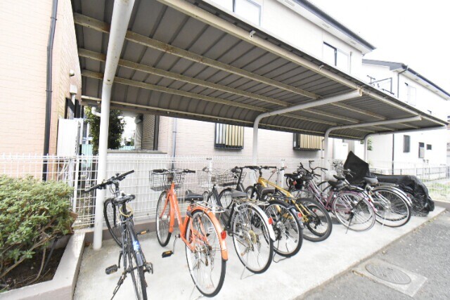 ��ʌ�����s�厚�����̃}���V�����̂��̑�