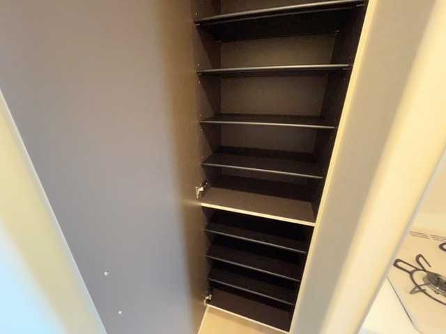 ��ʌ��������܎s�΋�厚���̃}���V�����̂��̑�