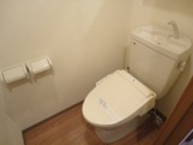 ��ʌ�����s�厚�����q��V�c�̃}���V�����̃g�C��