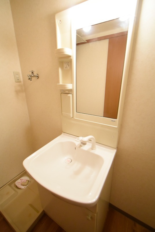 ��ʌ�����s�厚�����q��V�c�̃}���V�����̐��ʏ�