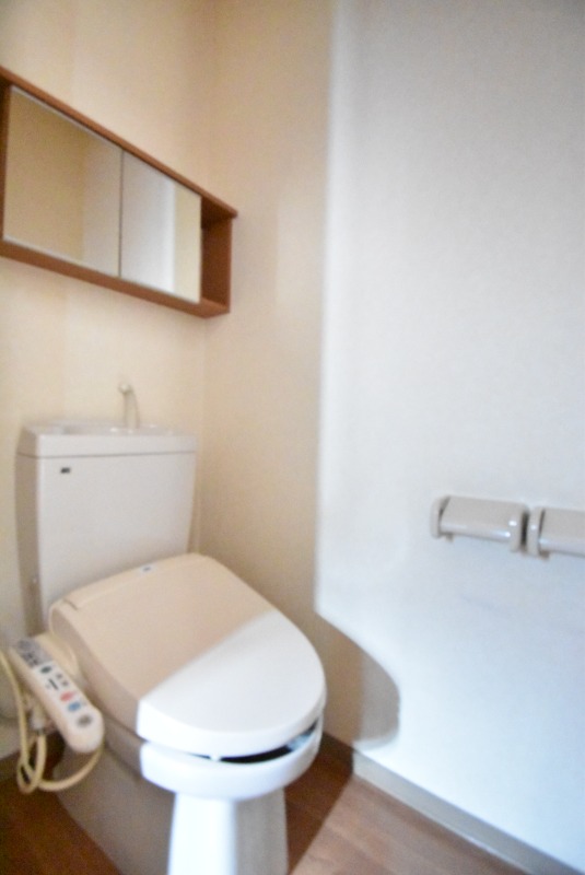 ��ʌ�����s�厚���V��h�̃}���V�����̃g�C��