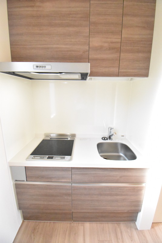 ��ʌ��������܎s��{��g�~���S���ڂ̃}���V�����̃L�b�`��