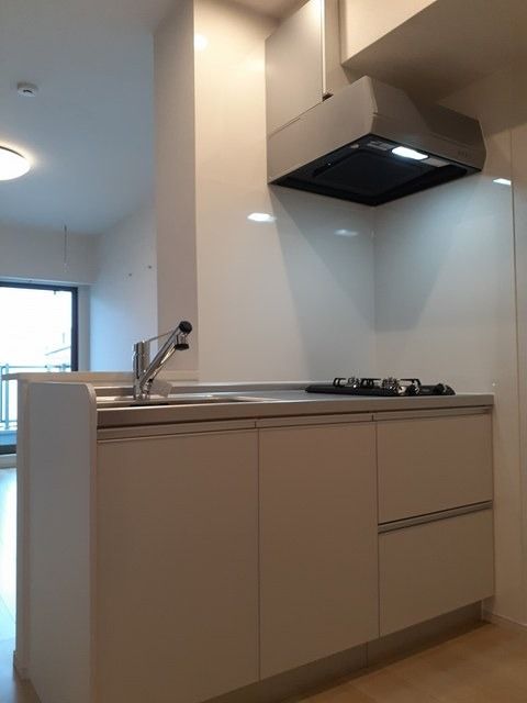 ��ʌ��������܎s��{����ؒ��S���ڂ̃A�p�[�g�̃L�b�`��